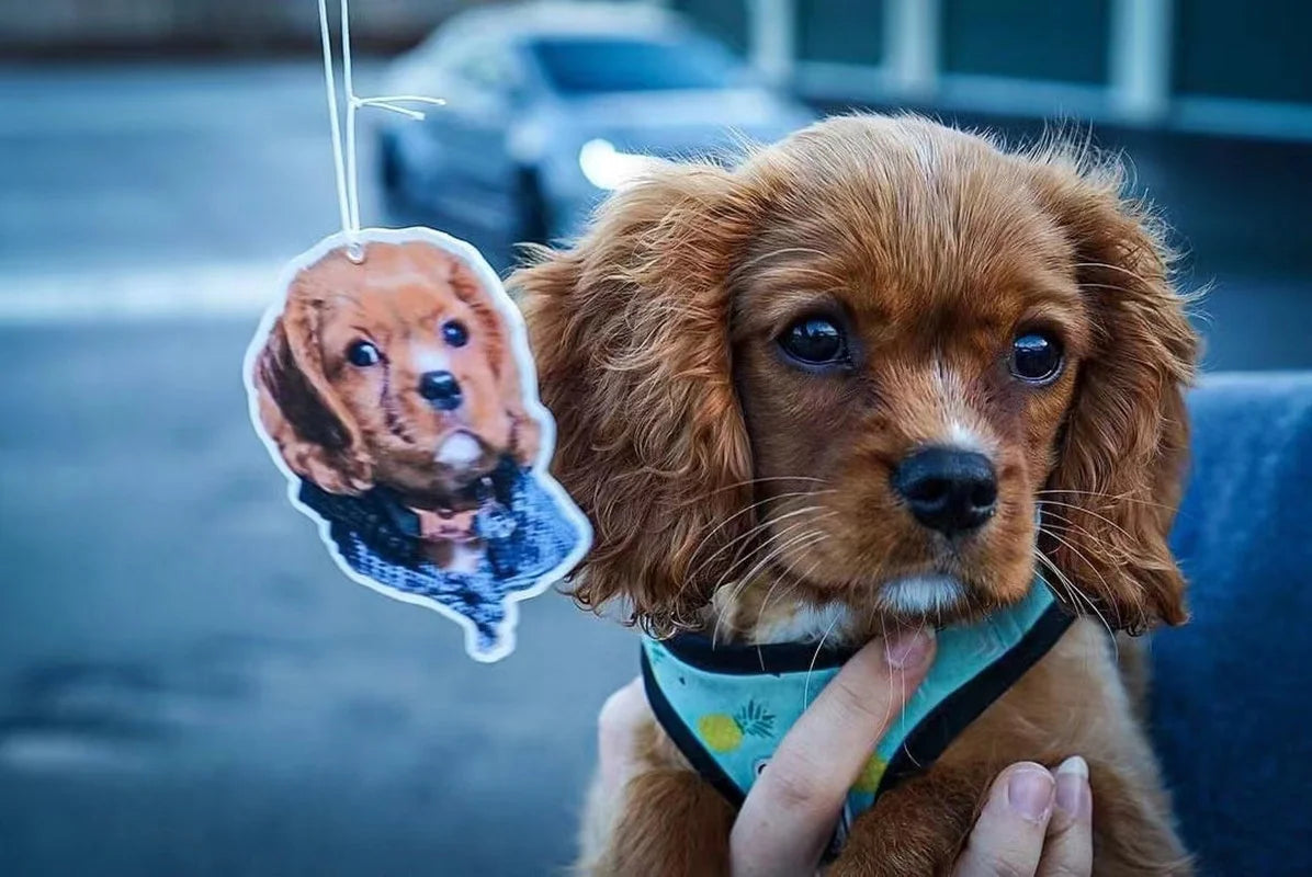 Custom Air Freshener Photo Air Freshener