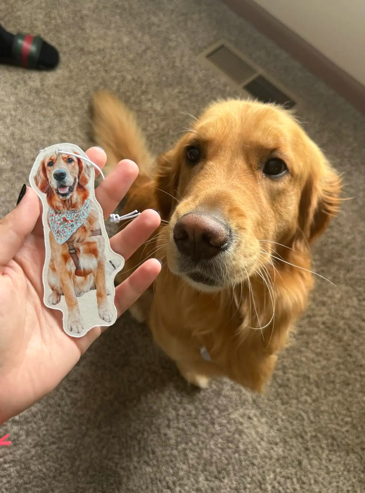 Custom Air Freshener Photo Air Freshener